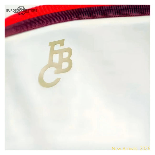 2024-2025 Bayern Munich Third Shirt