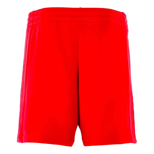 2024-2025 Bayern Munich DNA Shorts for (Men