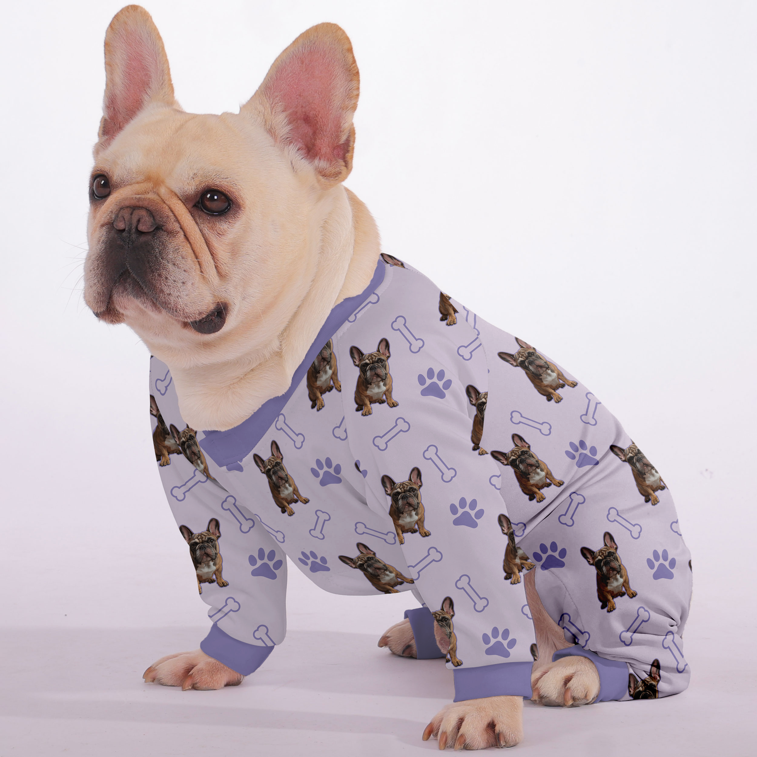French Bulldog Willow Personalized French Bulldog Pajamas With Your