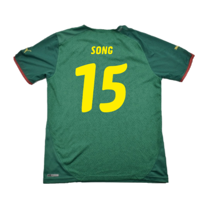 Cameroon National Team 2010-11 First Jersey ((excellent) L) (song 15)