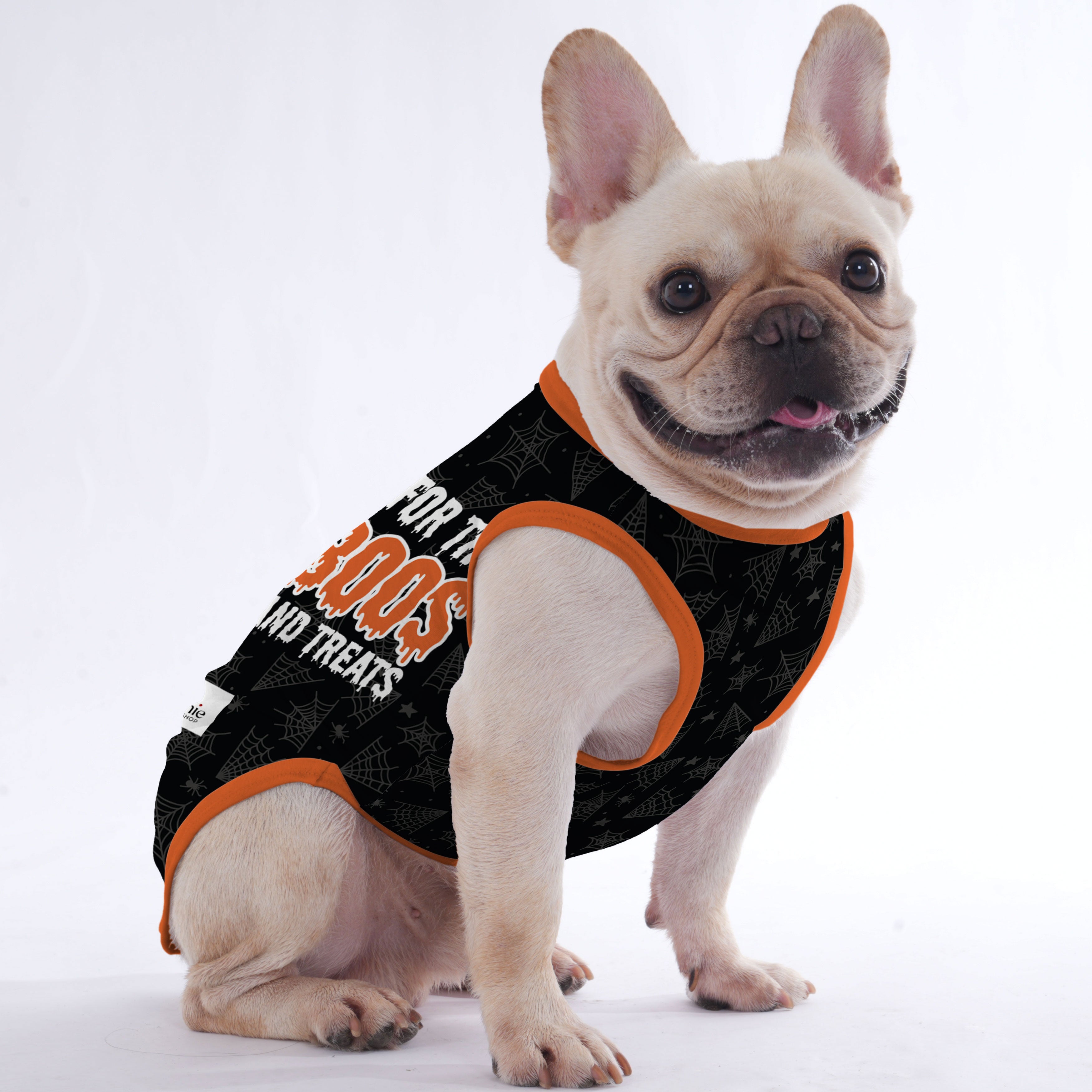 The BOOS - Shirt for Frenchies - Frenchie Shop Original