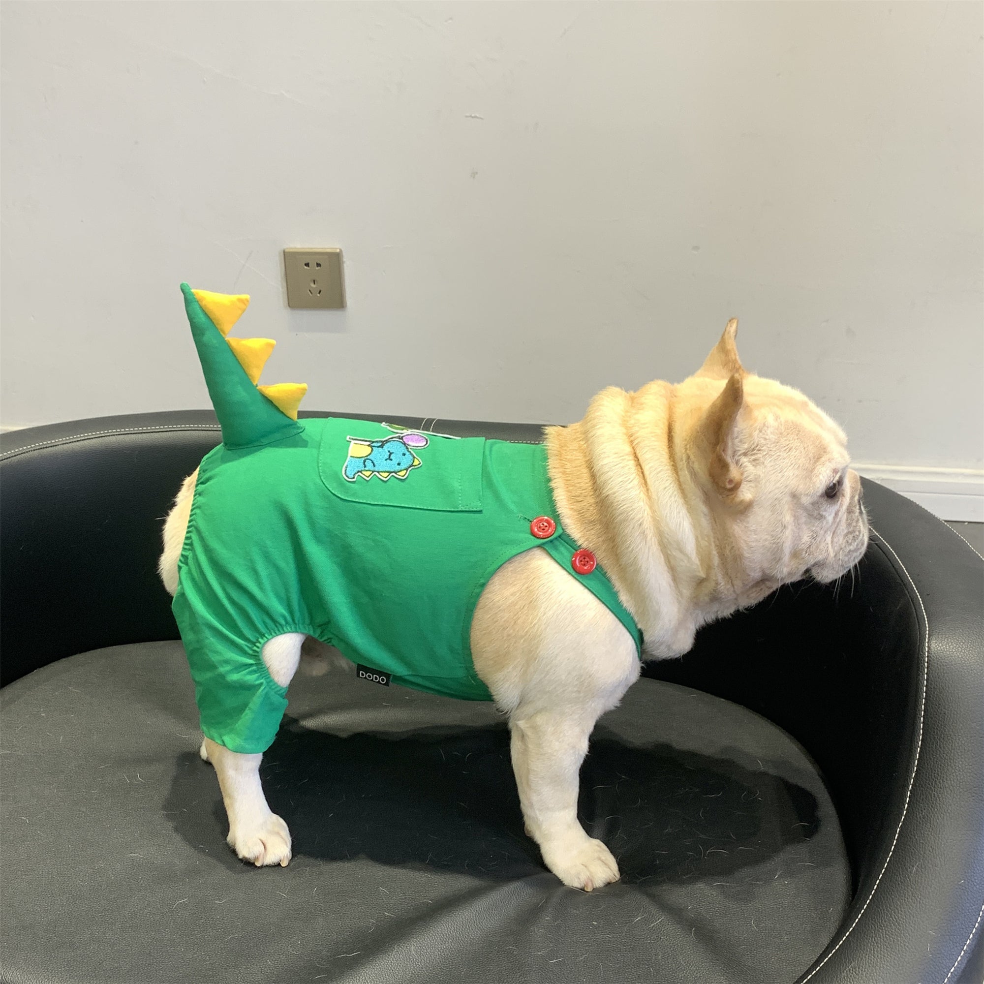Green Dinosaur Clothes for French Bulldog
