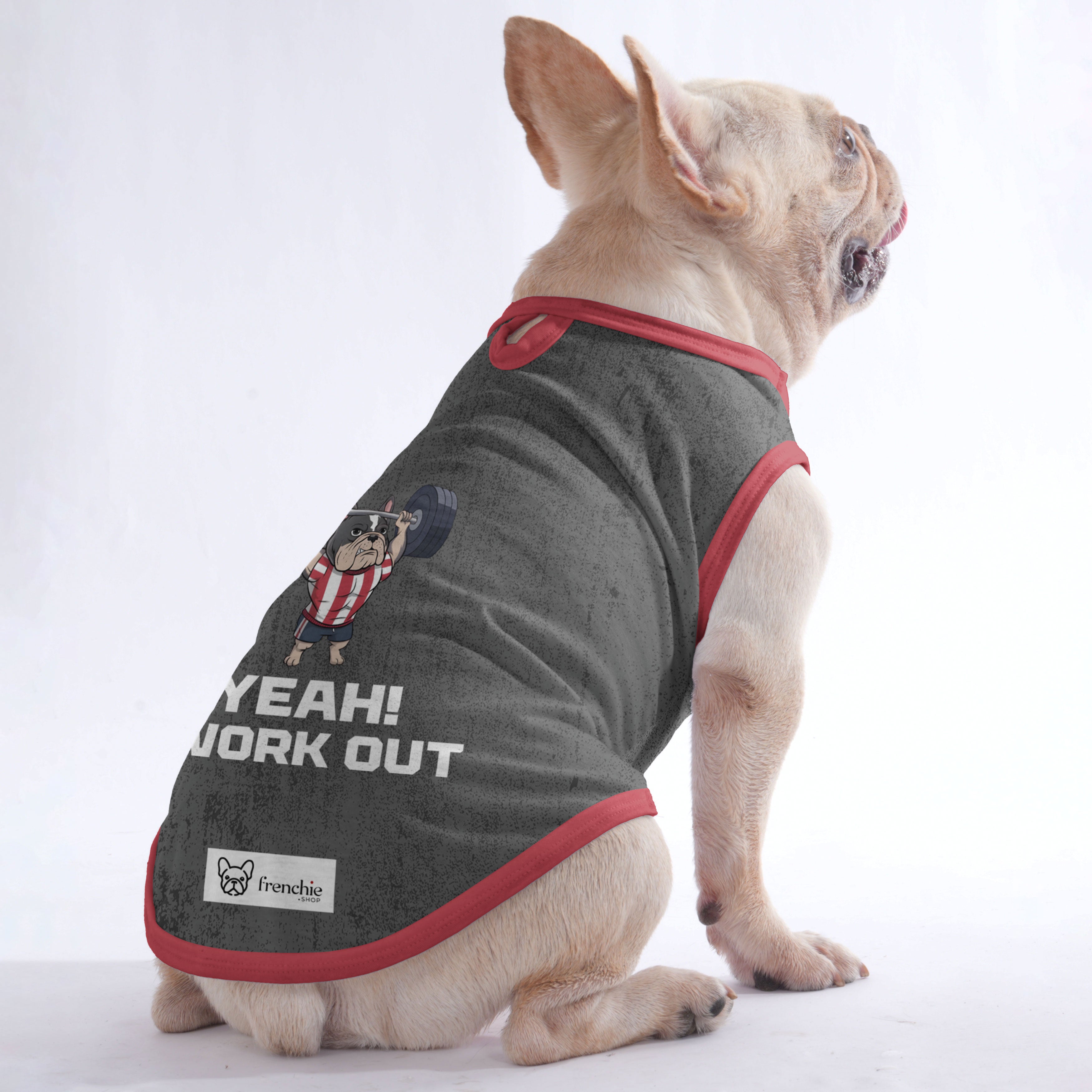 Shirt For Frenchies - Frenchie Shop Original Everyday Use | Comfy Fit