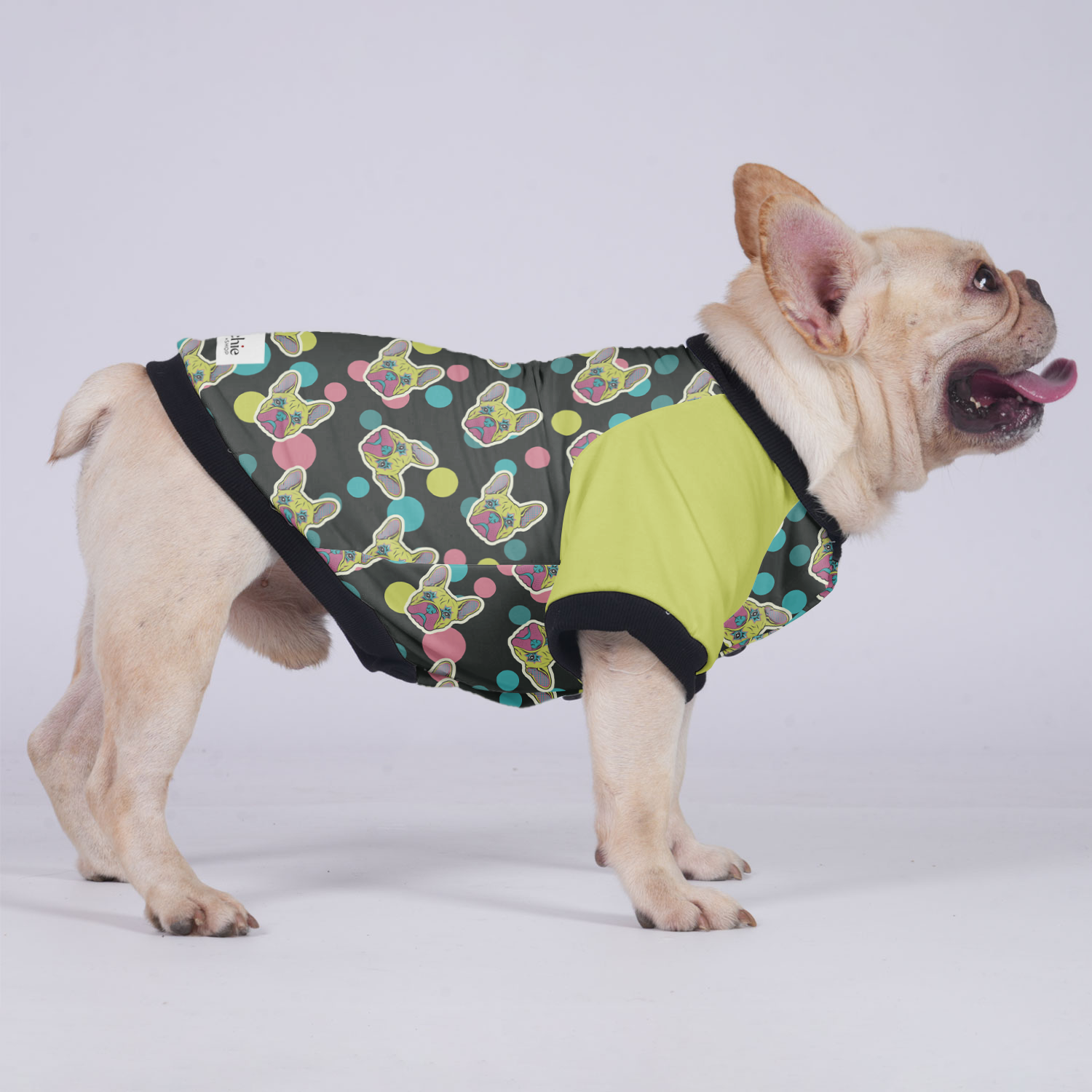 Larry - Jacket for French bulldog