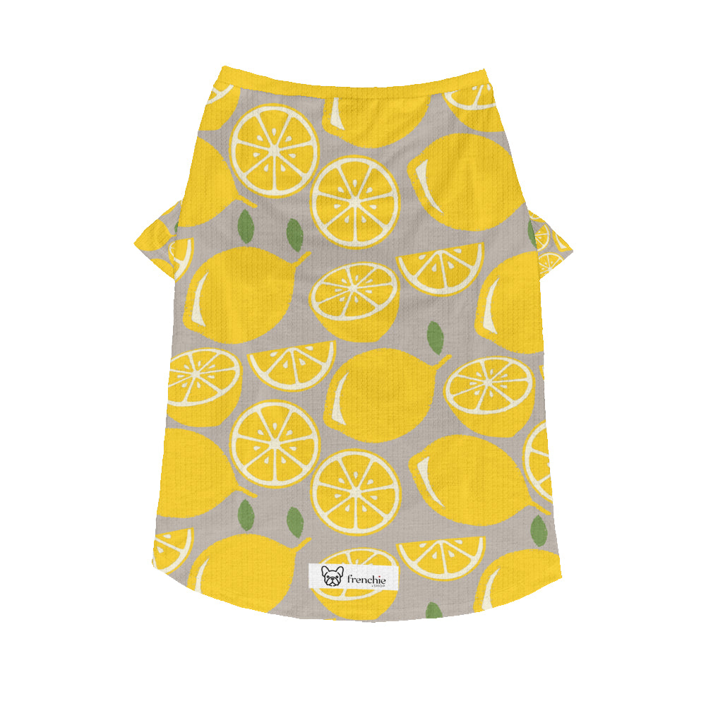 French Bulldog Luca Wool Sweater For Frenchies Comfy Pet Outfit