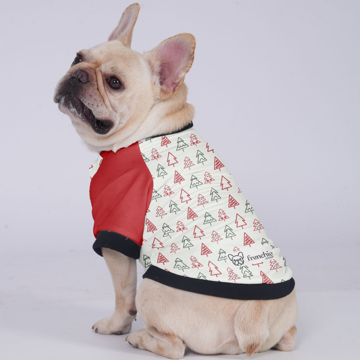 Jacket For French Bulldog For Frenchie Pups | Durable Build
