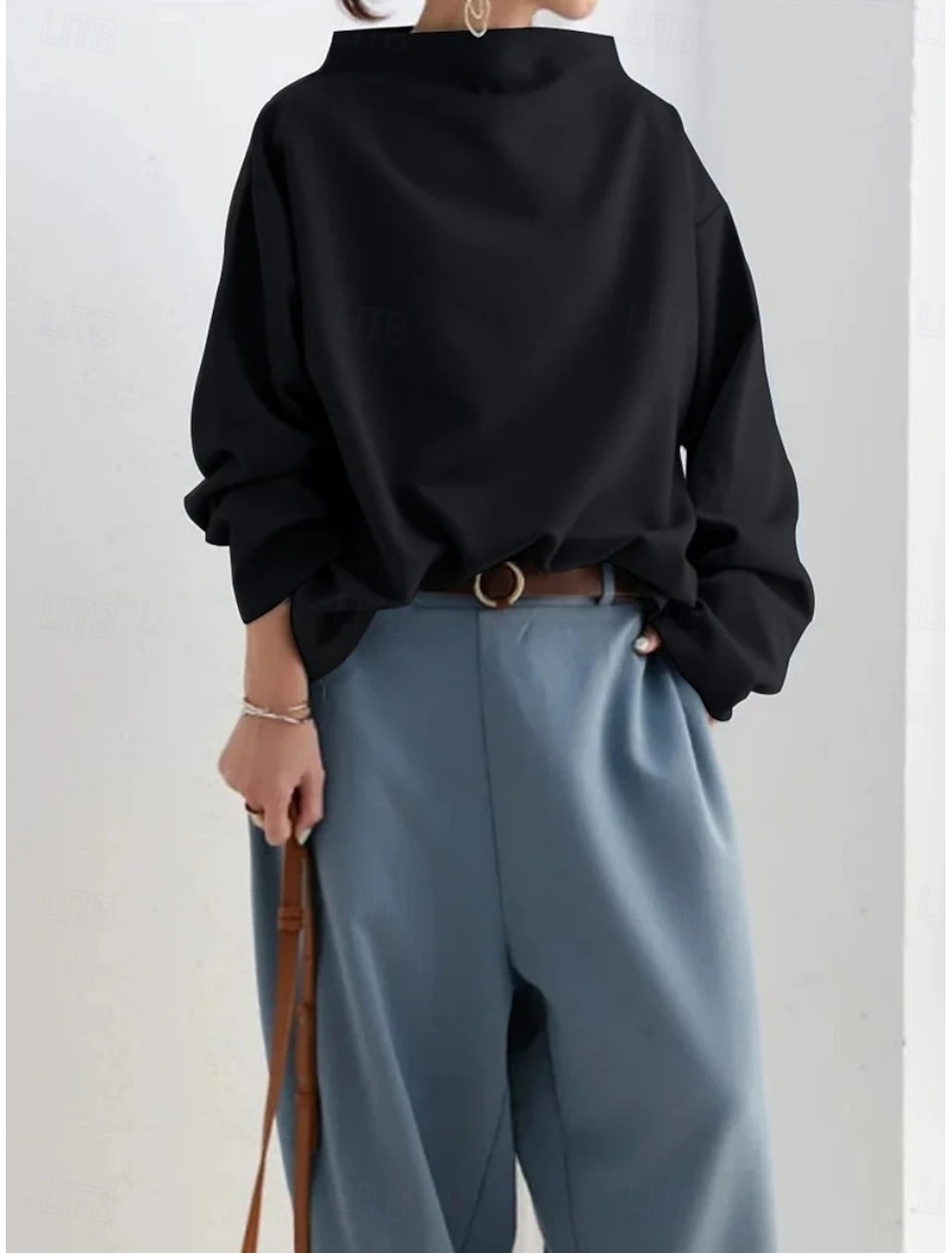 Women's Shirt Blouse Basic Casual Solid Color Regular Tops Long Sleeve Turtleneck Regular Fit Daily Spring Fall Winter