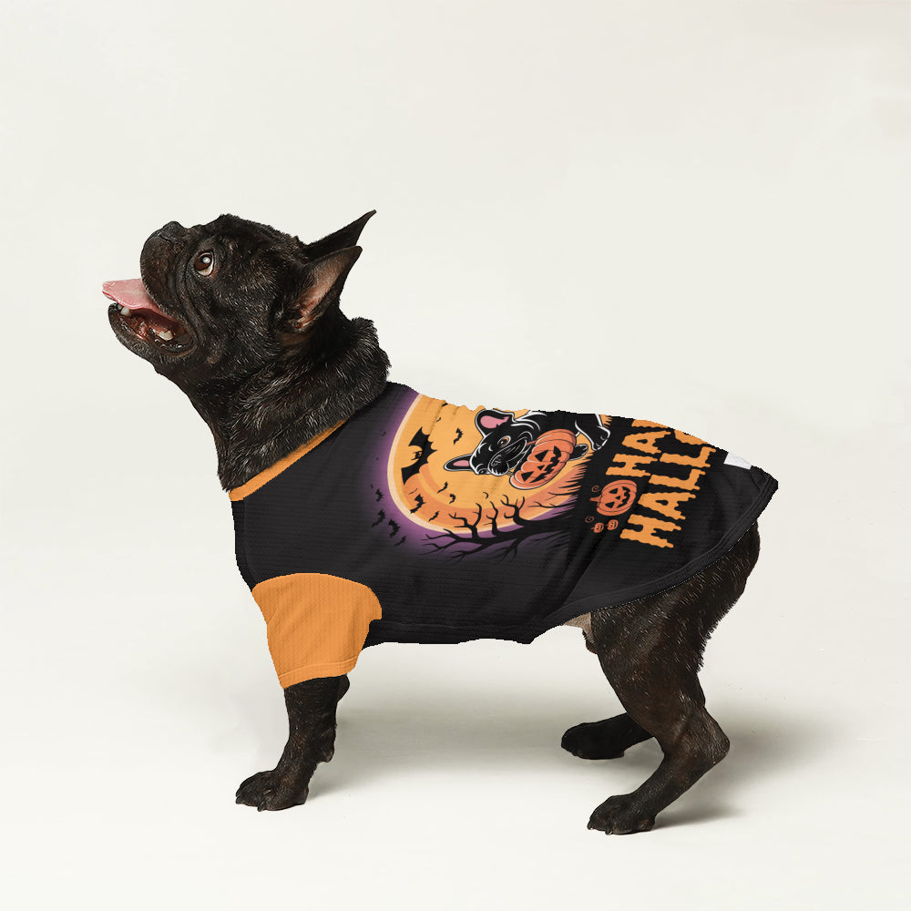 Sheila - Comfy Wool Sweater For Frenchies Indoor Comfort