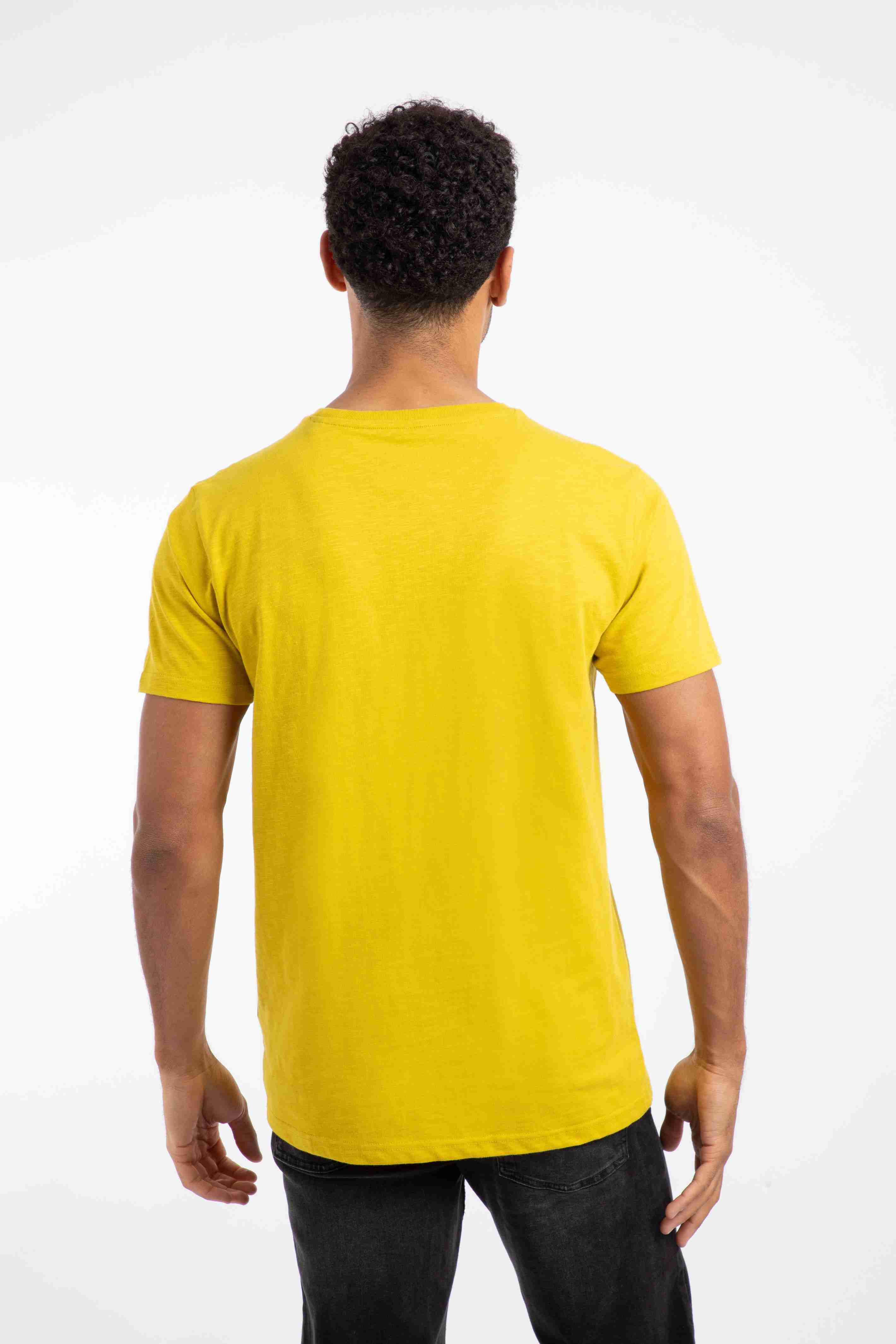 Fished Branded T-Shirt Antique Moss