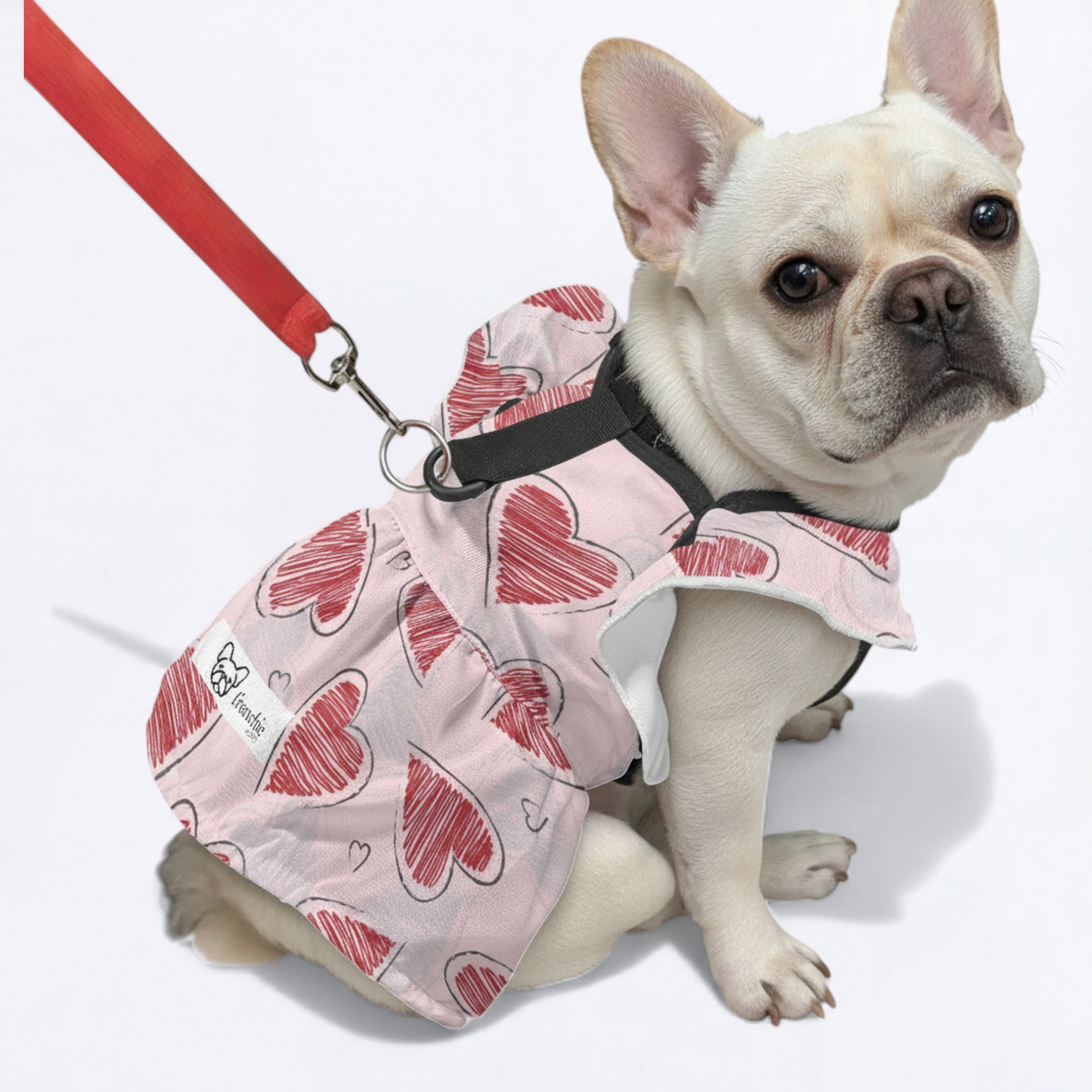 LOLA - French Bulldog Dresses for Females
