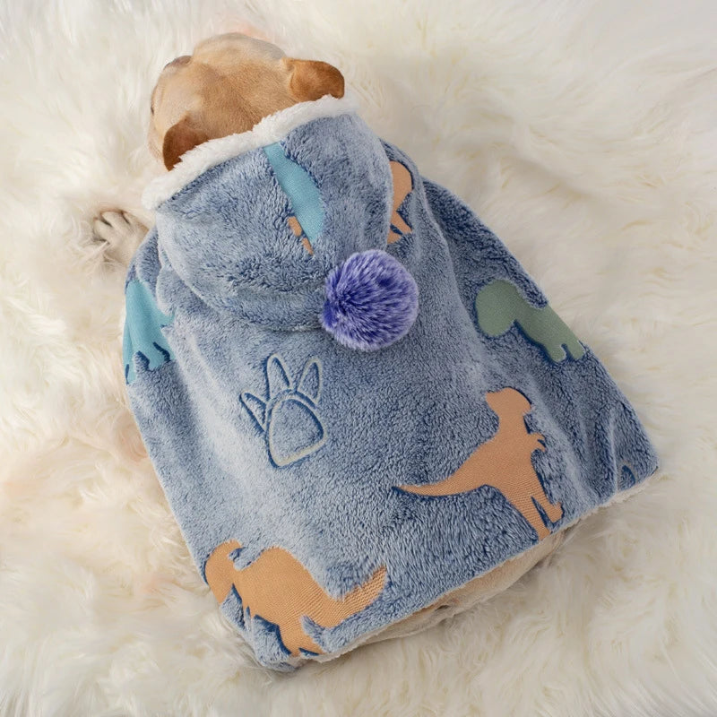 Coat Scarf In Soft Welsh Blanket Wool For Frenchie Pups | Comfort Fit