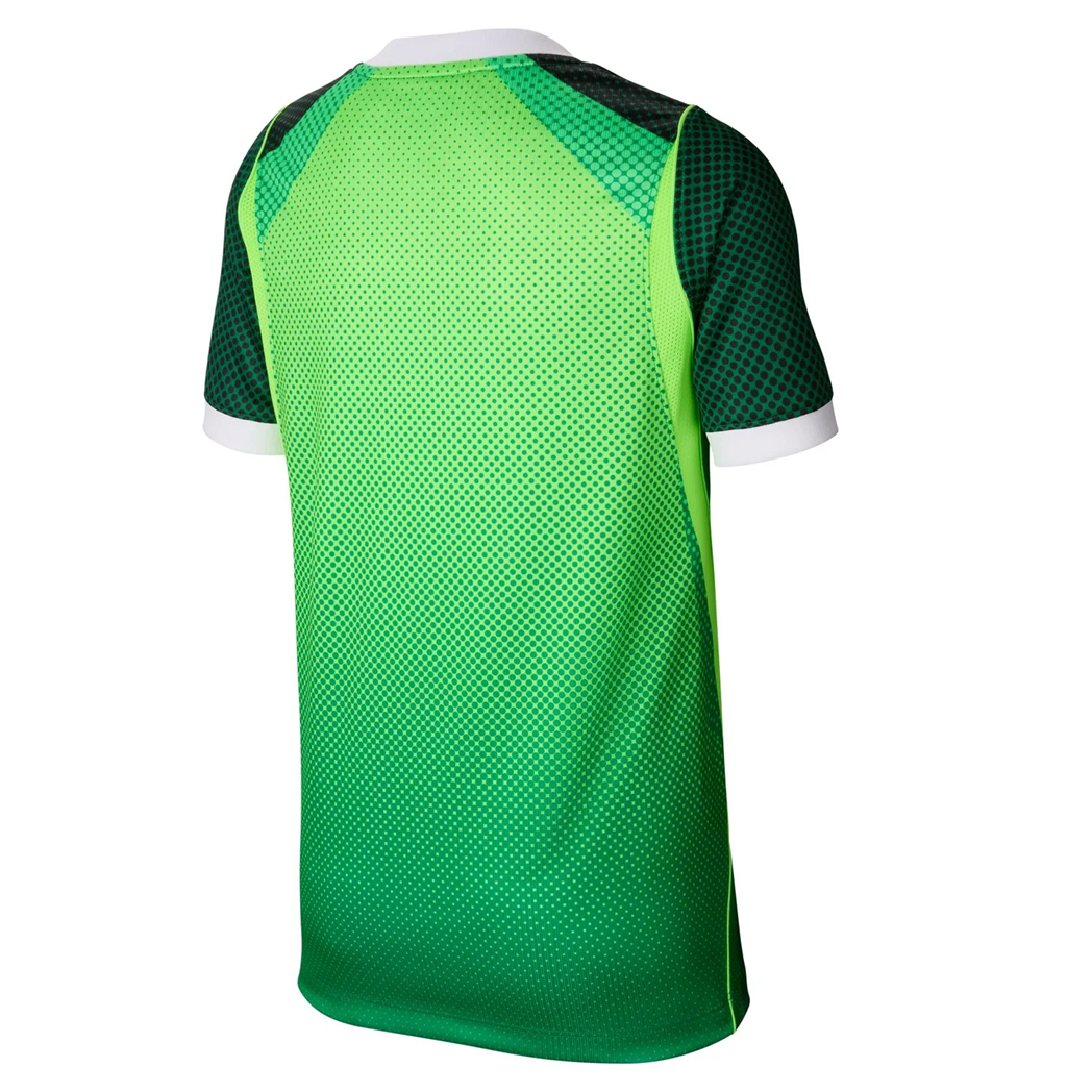 Nigeria 2026 Home Jersey - Youth Super Eagles Football Shirt |  Nigeria National Team Kids Kit
