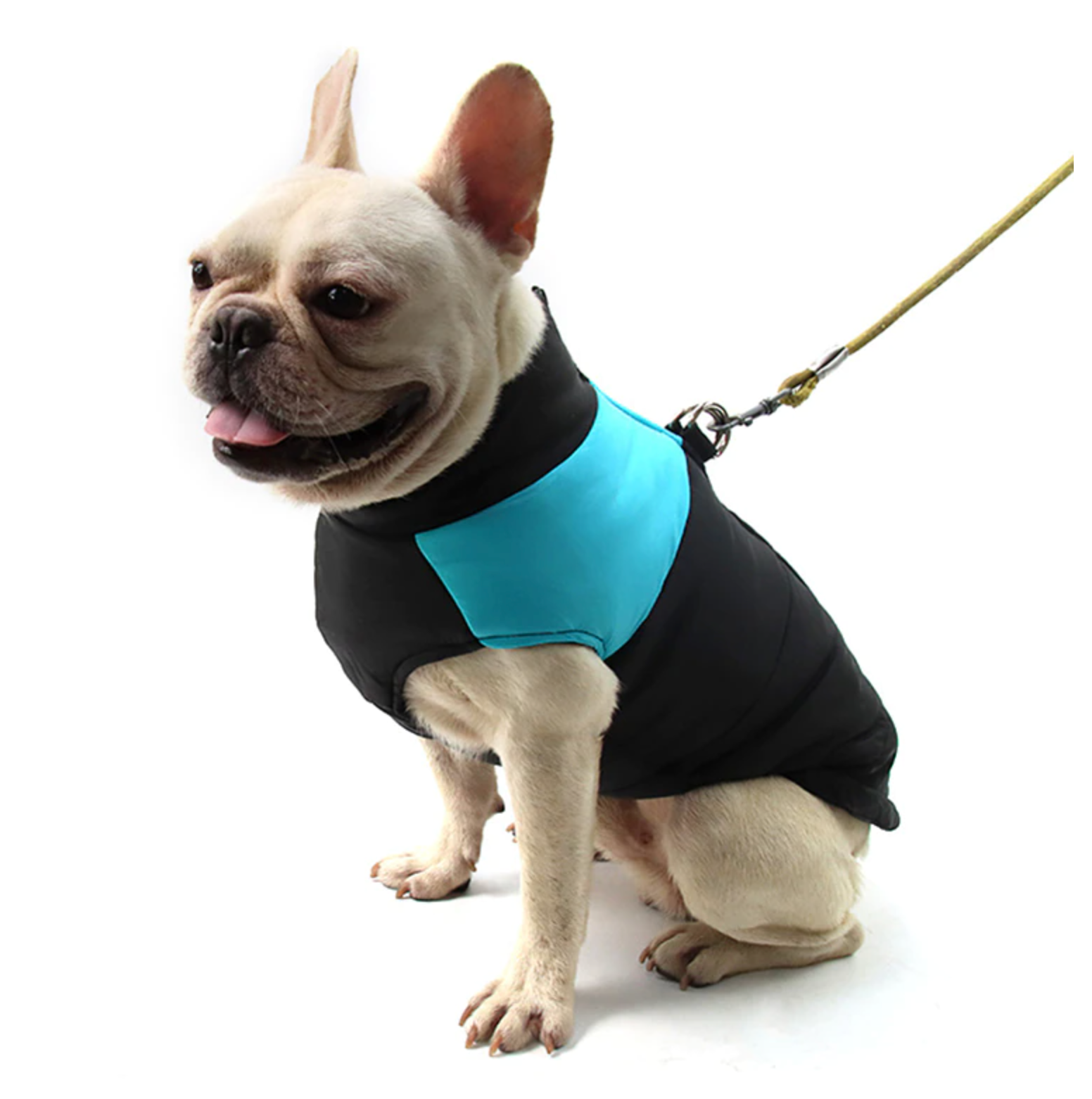 Frenchie-Fan Waterproof Vest Jacket For French Bulldog (cs020) for Ev...