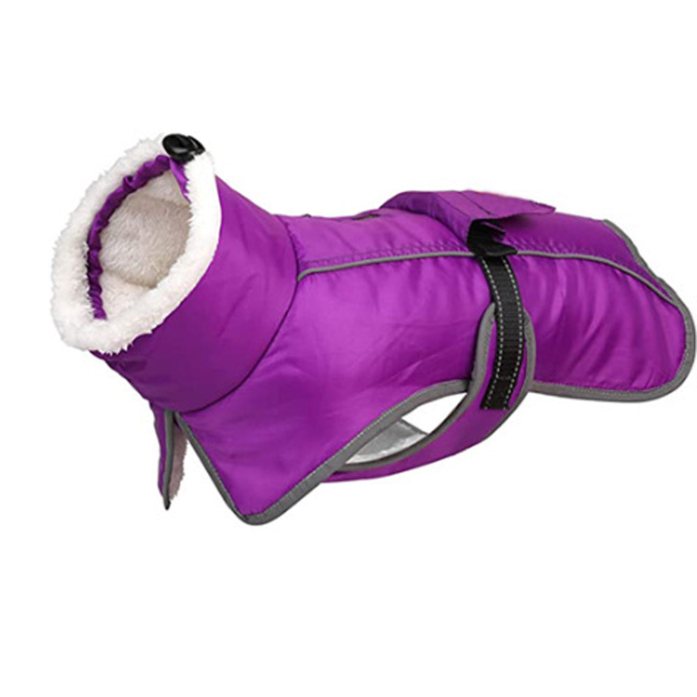 French Bulldog French Bulldog Reflective Coat With Adjustable Buckle