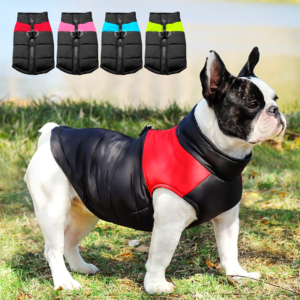 Vest Jacket For French Bulldog (cs020) Dog Supplies | Breed-optimized