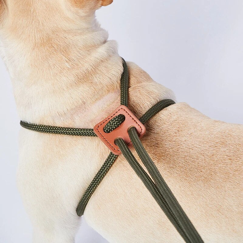 PawPilot Frenchie Collar Leashes All-in-one Harnesses Adjustable Walking Rope