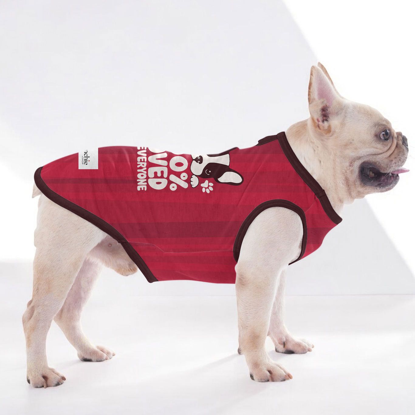 Linette - Shirt for Frenchies - Frenchie Shop Original