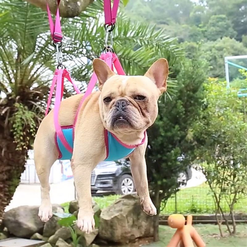 French Bulldog Frenchie Nail Trimming Hammock Grooming Restraint Bag Durable Dog Item