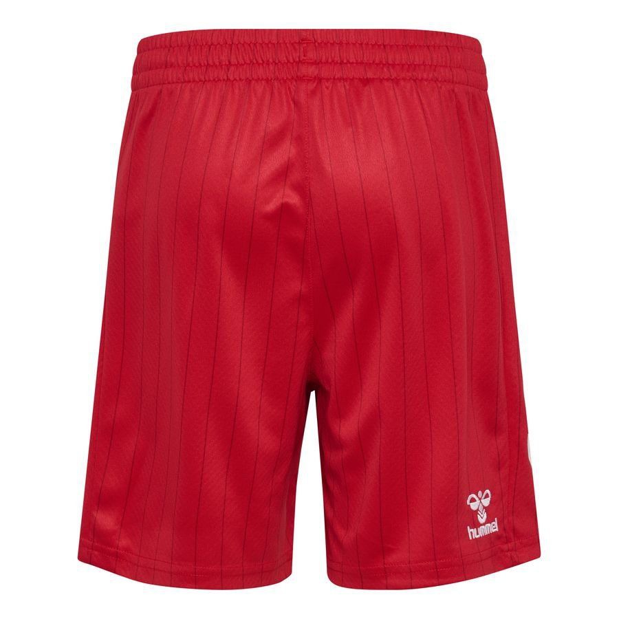 Denmark Away Shorts 2026/27 Kids