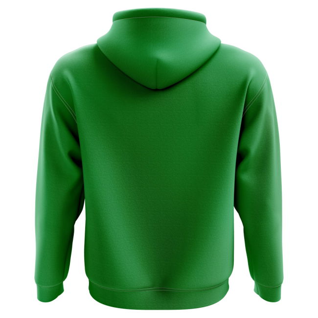 2025-2026 Cameroon Home Concept Hoody (Kids)