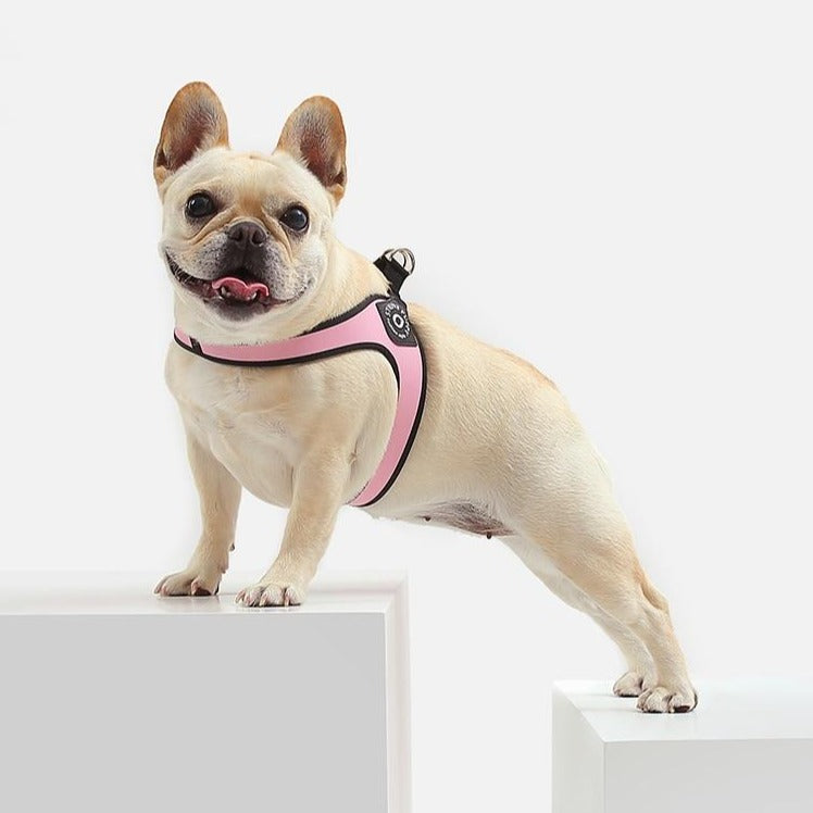 French Bulldog Easy Walk™ No Pull French Bulldog Harness (ws601) Practical Dog Gear