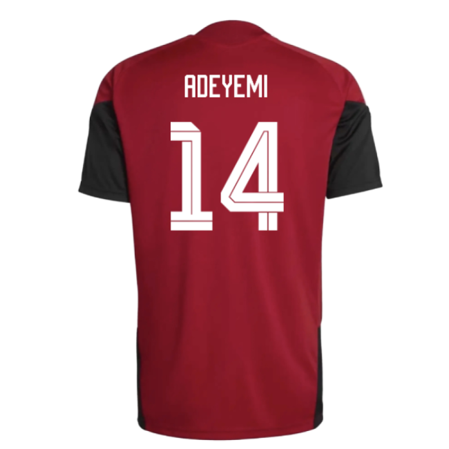 New Germany Home Football Shirt 2026-2027 (1)