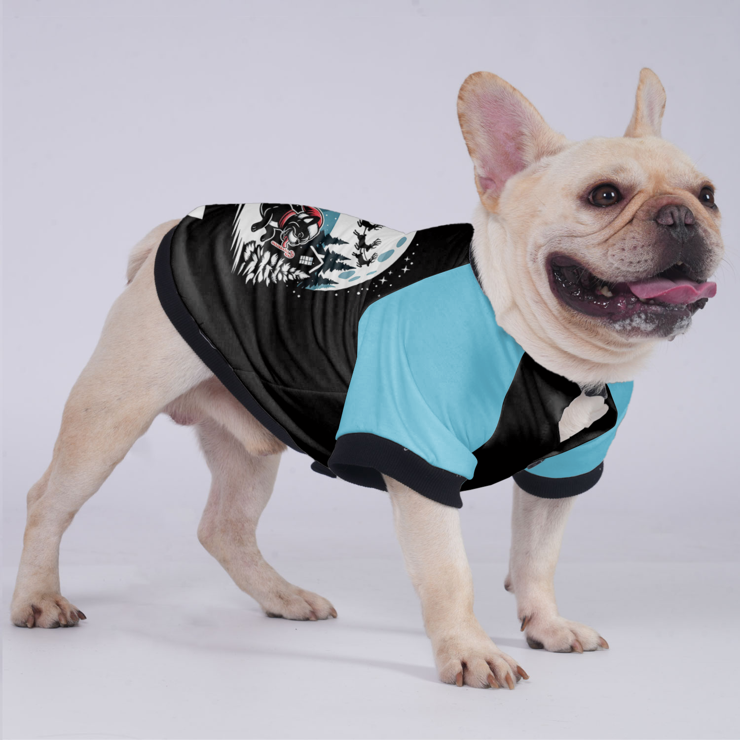 Abby - Breed-specific Jacket For French Bulldog Pet Gear