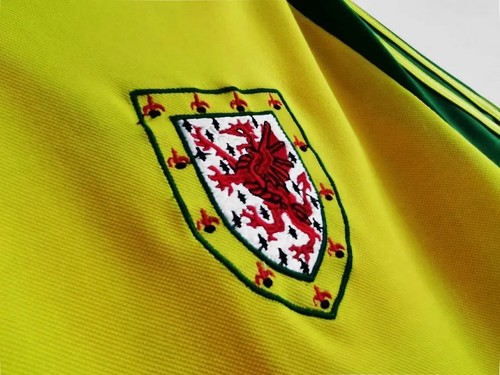 Match Quality Football Team Gales #1982 2024-2025 Season Match Day ...