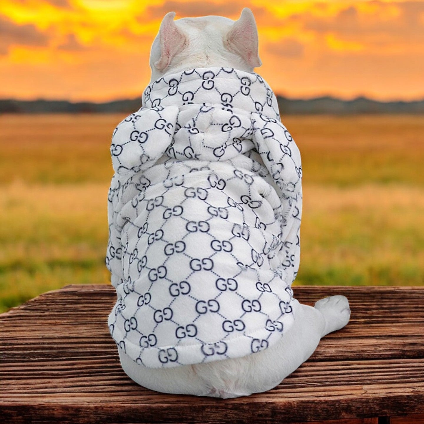 Premium Durable Premium French Bulldog Bear Hoodies for Pet Enthusiasts