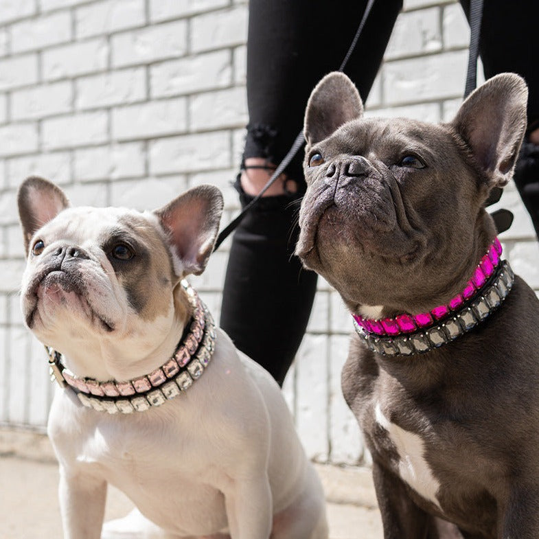 French Bulldog Diamondpaws Luxury Frenchie Collar Rhinestone Necklace