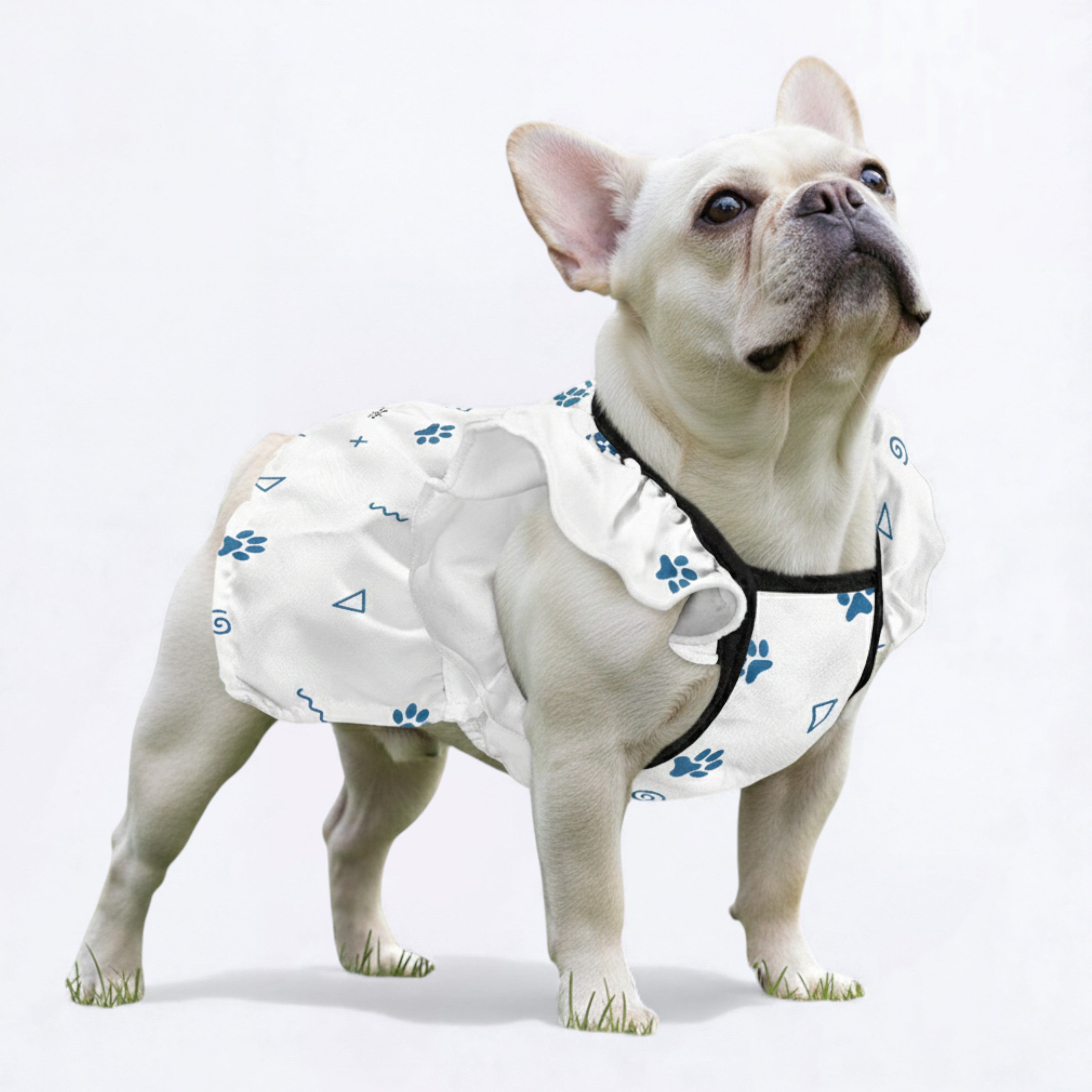Kaya - Vet-recommended French Bulldog Dresses For Females Indoor Use