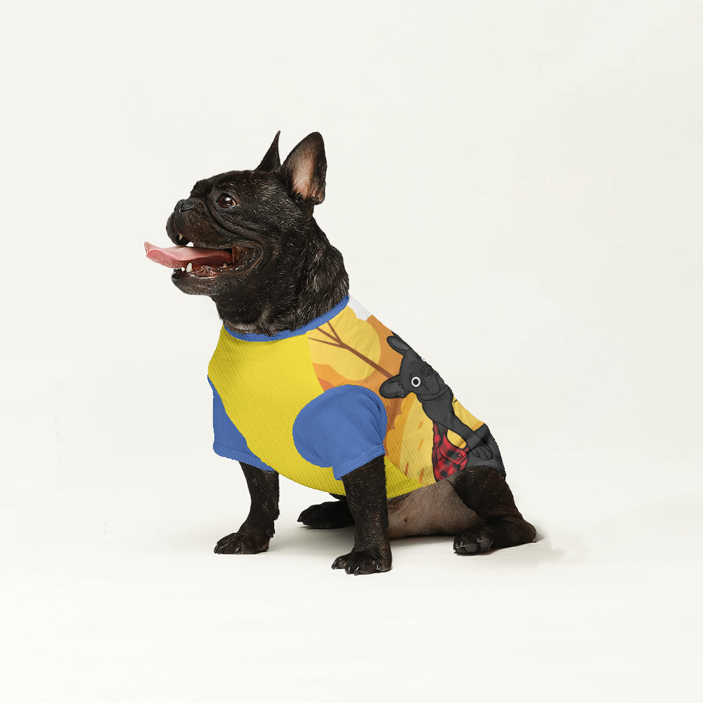 French Bulldog Thunder Personalized Wool Sweater For Frenchies Warm Dog Outfit