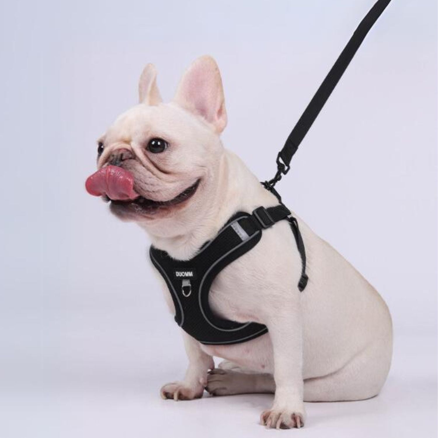 Explosion-proof No Pull Frenchie Harness Pet Gear | Durable Build