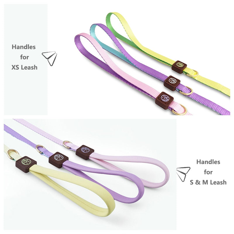 French Bulldog Frenchie No Pull Harness Leash Set Combining Comfort