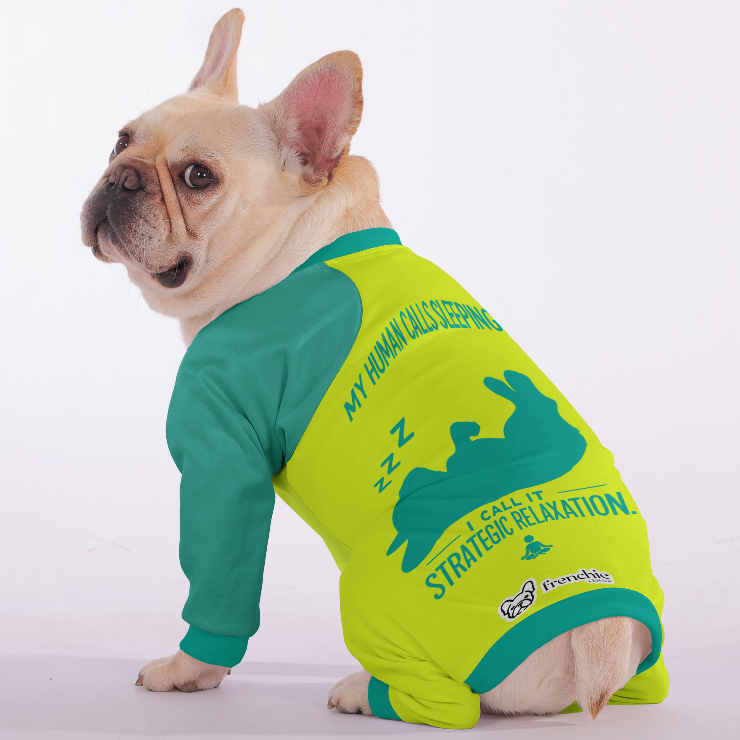 Cozy, & Adorably Stylish For French Bulldogs | Non-slip Design