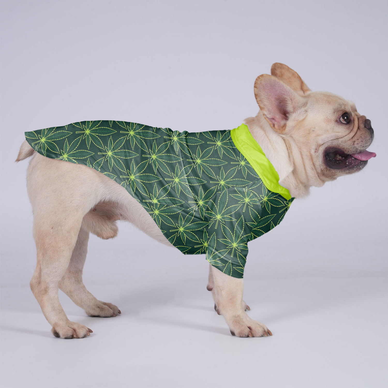 French Bulldog Willow Hawaiian Shirt For Frenchies Frenchie Pet Item
