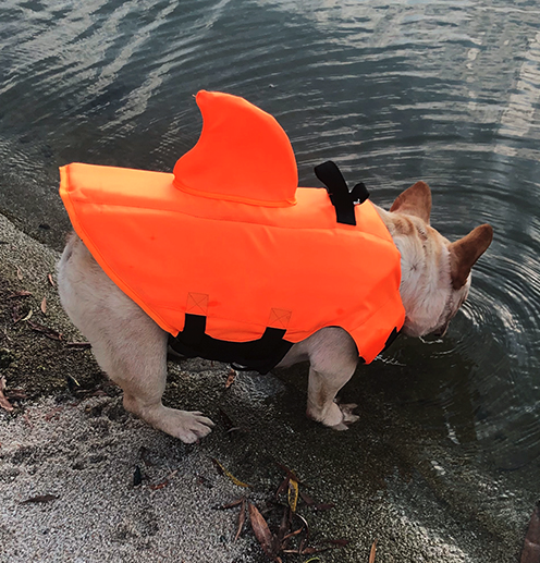 Lifestyle-Driven Shark Life Vest V2 (cs02) for Everyday Wear Comfortable