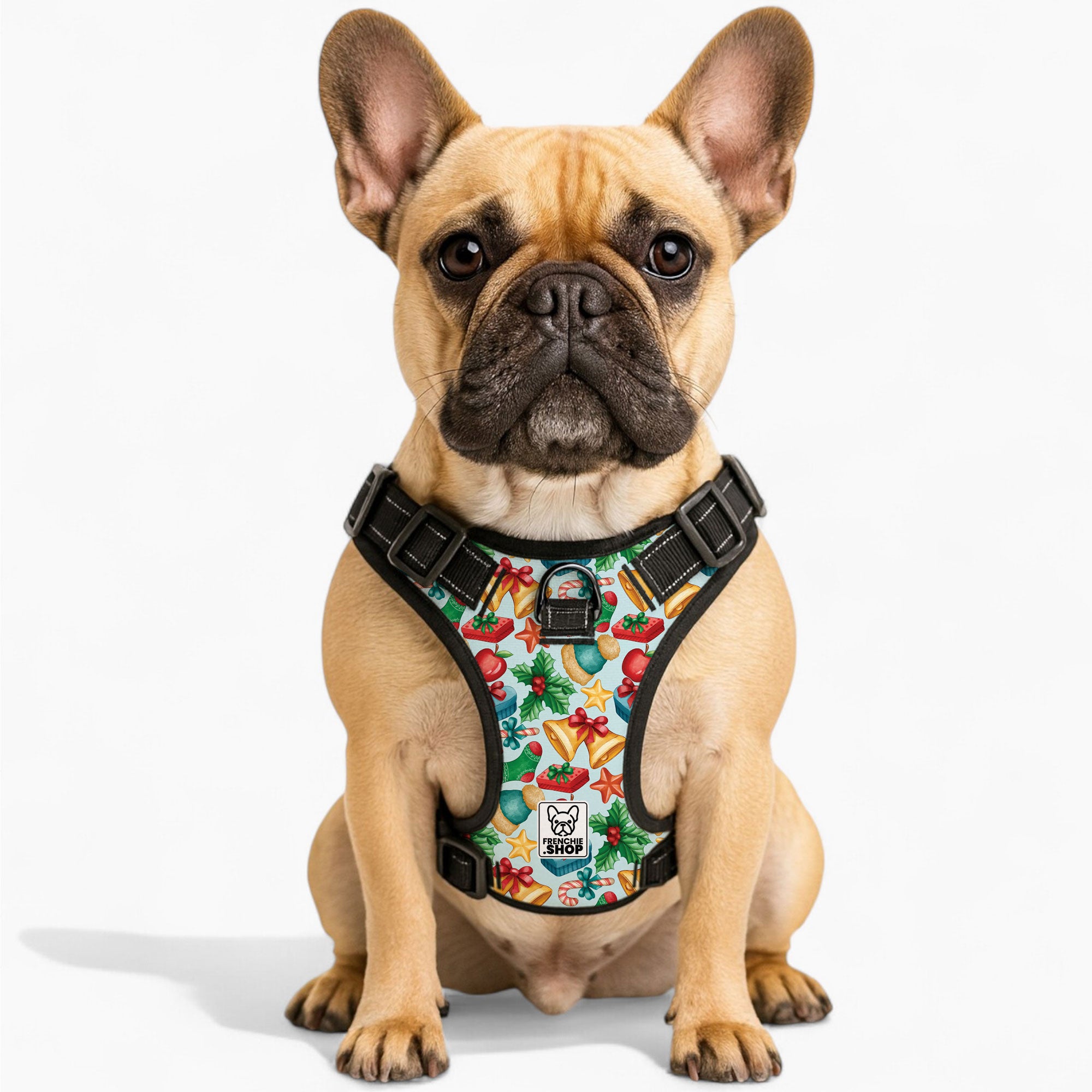 No-pull French Bulldog Dog Harness Winter Wear | Non-slip Design