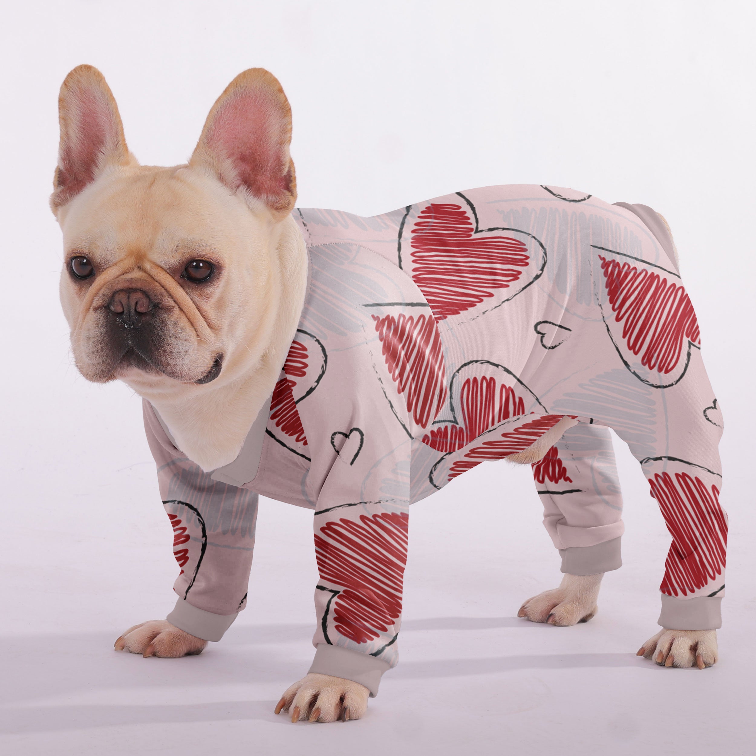 Remi - Frenchie Frenchie Pajama Paw Protection | Durable Build