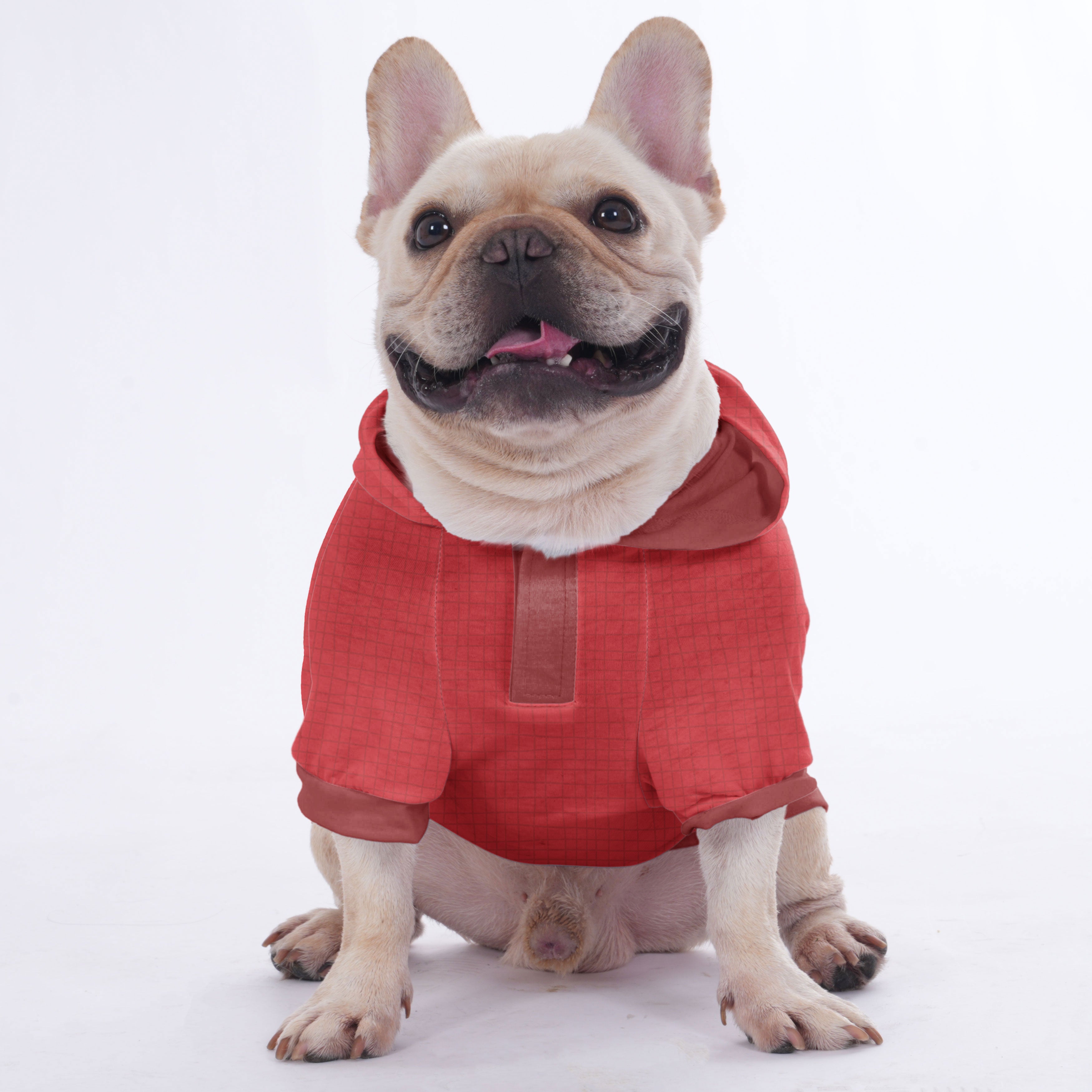 Cozy Dove - Hoodies For French Bulldog | Frenchie Shop Original as a
