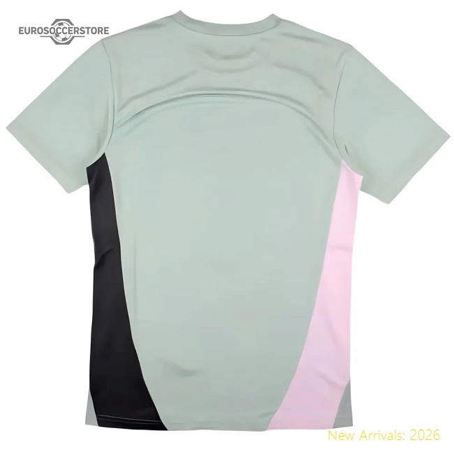 Superior 2024-2025 Ac Milan Training Shirt (green Fog) (abraham 9)