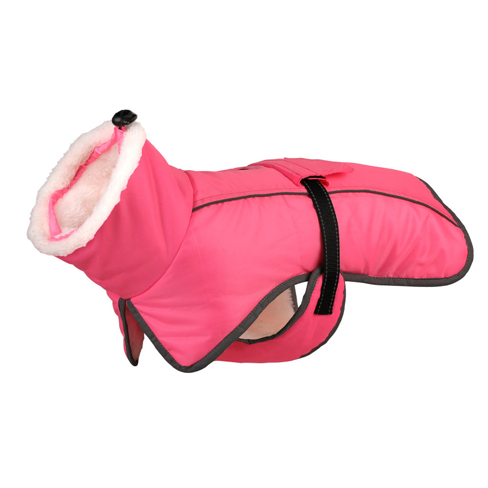 Comfortable French Bulldog Reflective Coat With Adjustable Buckle And...