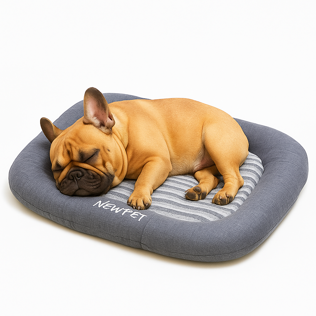 Comfuria Cozy French Bulldog Bed Pad – Rectangular Shape for Ultimate Comfort