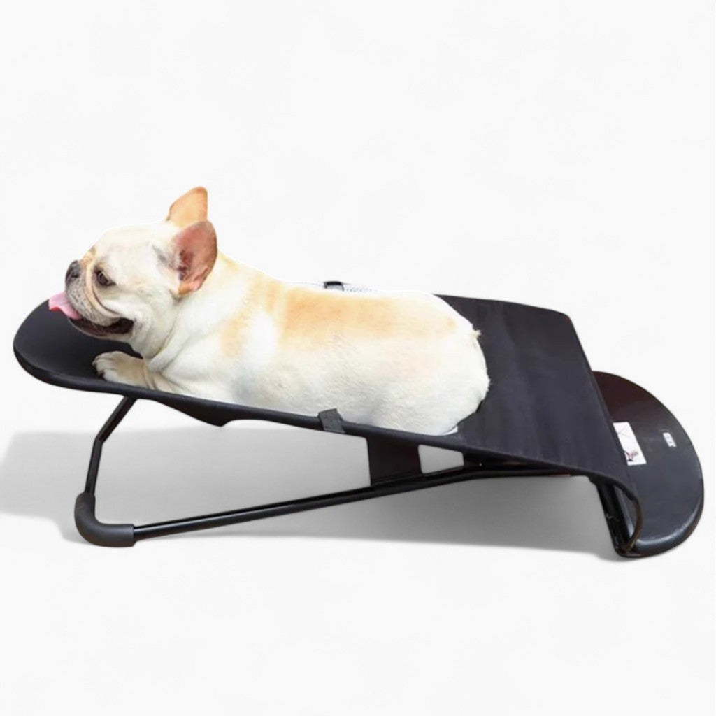 Lifestyle-Driven Portable Rocking Chair For French Bulldog for Street