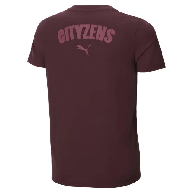 Man City Casuals T-Shirt 2024-2025 edition (Men