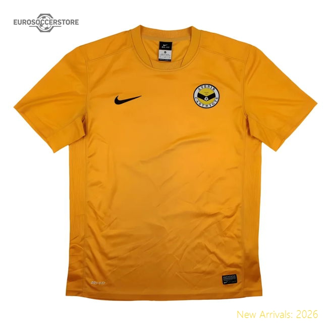 Top-grade Avenir Castriote Nike Training Shirt (m) (very Good)