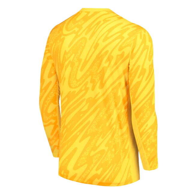Advantages 2024-2025 France Goalkeeper LS Home Shirt - Kids From China