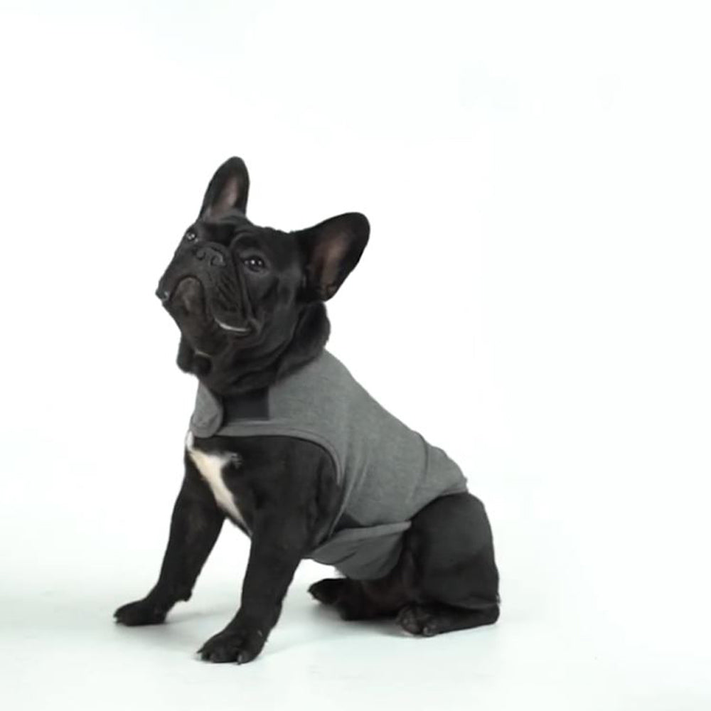 French Bulldog Relaxrover Frenchie Anxiety Jacket Calming Clothes For