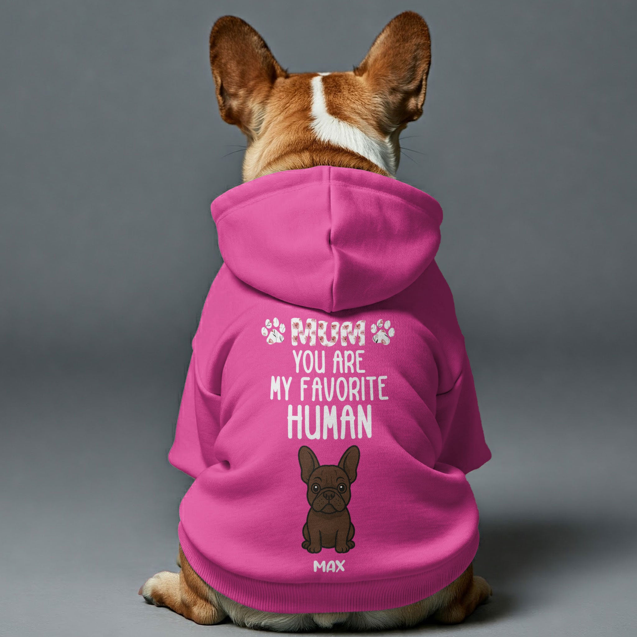 French Bulldog My Favorite Human Personalized French Bulldog Hoodies
