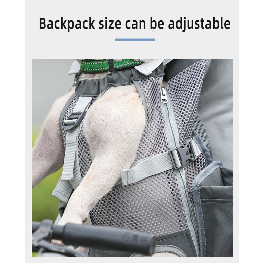 Carrier Backpack – Travel And Hiking Bag For Frenchies Winter Wear